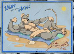 2025 4_fingers 4_toes abs anthro autograph beach beach_towel big_penis black_nose blue_background bodily_fluids buckteeth character_signature digital_drawing_(artwork) digital_media_(artwork) erection feet fingers flexing flexing_bicep fur genital_fluids genitals grey_body grey_fur hairless_tail hi_res huge_cock humanoid_genitalia humanoid_penis jackaloo jim_rat leaking_precum lounging lying male mammal murid murine nipple_piercing nipple_ring nipples on_back penis piercing precum precum_on_ground rat ring_piercing rodent sand seashell shell simple_background solo sun tan_ears tan_hands tan_penis teeth toes towel wish_you_were_here yellow_sclera