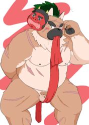 2021 anthro asian_clothing balls belly blush brown_body brown_fur canid canine canis clothing domestic_dog east_asian_clothing fundoshi fur genitals humanoid_hands inunodaidokoro japanese_clothing kemono male mammal mask moobs nipples overweight overweight_male penis scar solo tokyo_afterschool_summoners underwear video_games yasuyori