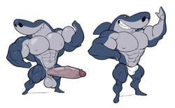 abs analon_(artist) anthro balls biceps big_penis bulge clothing fin fish flexing genitals grey_body hi_res huge_cock male male_only marine muscular muscular_anthro muscular_male nipples pecs penis shark sharko smile solo teeth toomanyboners underwear zig_and_sharko