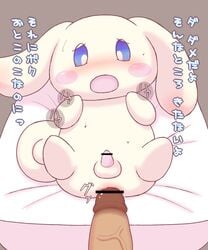 blush blush_stickers censored cinnamon_(cinnamoroll) cinnamoroll cinnamoroll_(series) furry human_on_anthro japanese_text male male_only open_mouth ruco sanrio size_difference tagme white_fur yaoi