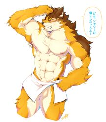 anthro balls barrel_(live-a-hero) better_version_at_source canid canine canis flaccid fur genitals hi_res kalonezhno live-a-hero male mammal multicolored_body multicolored_fur muscular muscular_anthro muscular_male pecs penis solo towel wolf