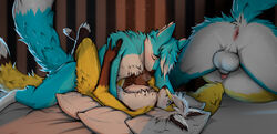 agra anal anal_knotting anal_sex anthro anthro_on_anthro anthro_penetrated anthro_penetrating anthro_penetrating_anthro anthro_penetrating_male anus balls blue_body blue_fur blue_hair blush canid canine closed_eyes dipstick_tail duo fox fur genitals hair knotting male male/male male_only male_penetrated male_penetrating male_penetrating_anthro male_penetrating_male mammal multicolored_tail oxfort2199 penetration penis pillow sex suso white_hair yellow_body yellow_fur