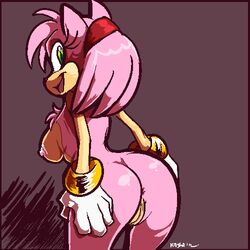 amy_rose female hedgehog kayla-na mel_the_hybrid sega sonic_(series) sonic_the_hedgehog sonic_the_hedgehog_(series)