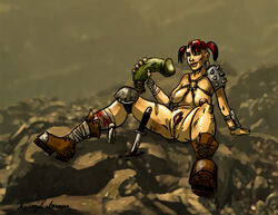 fallout fallout_3 raider tagme