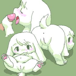 anus artist_request blush cave_story fellatio furry lowres oekaki oral presenting pussy toroko