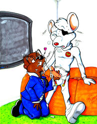 anthro cosgrove_hall_films cum danger_mouse ernest_penfold gay indoors male male_only mouse penis sean_blackthorne tagme yaoi