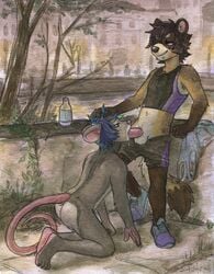 2boys anthro anthro_on_anthro ass balls blue_hair brown_hair clothed clothing duo erection fellatio footwear fur gay grey_fur hair hand_on_head kneeling male male_only male_penetrating mammal mouse multicolored_fur nude oral oral_penetration outside pants_down partially_clothed penetration penis procyonid raccoon rodent sex shoes sicklyhypnos signature standing yaoi