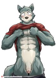 1boy abs anthro beastars blush canid canine canis clothed clothing clothing_lift focused genitals kumak71395 legoshi_(beastars) male male_only mammal muscular muscular_male pecs penis shirt shirt_lift solo topwear undressing wolf