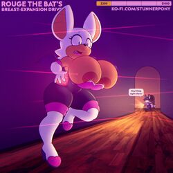 rouge the bat from sonic (series) by stunnerpony