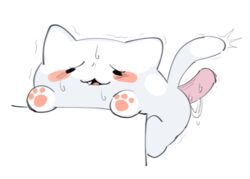 anal anal_sex blush bongo_cat cat cat_ears cat_tail cum cute domestic_cat feline fur furry open_mouth paws penis penis_in_ass sex silly_cats star-rod sweat tail trembling white_fur