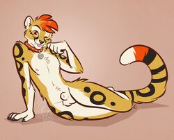 animal_genitalia anthro balls blep cheetah collar felid feline felis fully_sheathed genitals male mammal nicnak044 nude pinup pinup_pose pose sheath solo tongue tongue_out