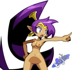 1girls blue_eyes breasts esejota female female_only nude purple_hair pussy shantae shantae_(character) smooth_skin solo