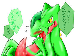 closed_eyes cum green_scales grovyle japanese_text male_only open_mouth pokemon pokemon_(species) pokemon_rse saliva scalie sceptile tears tongue_out white_background yellow_eyes zax_(artist)