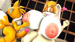tails the fox from sonic (series) by blueapple