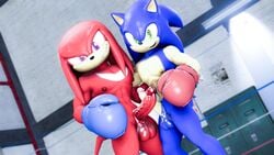 3d balls boxing_gloves clothing digital_media_(artwork) duo erection fighting_ring frottage genitals gym handwear hi_res knuckles_the_echidna loafsfm looking_at_viewer male male/male male_only muscular muscular_male nipples penis penises_crossing penises_touching pose sex sonic_(series) sonic_the_hedgehog source_filmmaker swordfight