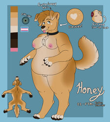 1girls 2021 anthro areolae biped bird_dog black_collar blue_background breasts canid canine canis collar collar_only domestic_dog english_text erect_nipples female female_only genitals golden_retriever goldiescales heart hi_res honey_(goldiescales) hunting_dog large_breasts lgbt_pride_colors mammal model_sheet nipples nude obese overweight overweight_female pink_tongue pride_colors pussy retriever simple_background solo text tongue tongue_out