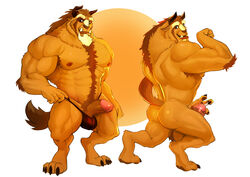 1boy anthro balls_in_panties balls_under_clothes beast_(disney) beauty_and_the_beast big_penis brown_fur disney flexing hairy_balls hi_res male male_only monster penis seyrmo solo solo_male tagme