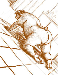 2008 all_fours anthro ass balls bathroom big_butt flaccid genitals hairy humanoid_hands male mammal osos overweight overweight_male penis solo ursid