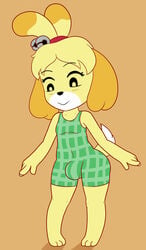 absurd_res animal_crossing anthro bulge canid canine clothing gynomorph hi_res intersex isabelle_(animal_crossing) kamikiller mammal nintendo solo swimwear video_games