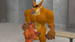 2021 2boys 3d 3d_(artwork) 4_fingers abs anthro balls bandicoot bara biceps blowjob crash_(series) crash_bandicoot erection fellatio furry gay gloves hand_on_head johnxgin3 male male/male male_only mammal mammal_humanoid marsupial muscular_anthro muscular_male oral_sex orange_fur pecs pink_penis sfm sitting size_difference source_filmmaker sucking thylacine tiny_tiger veiny_penis video_games yaoi