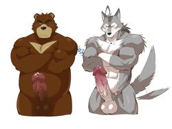 2021 2boys 41raco anthro balls barazoku big_penis blush brown_body brown_fur canid canine canis duo erection fur genitals grey_body grey_fur juuichi_mikazuki kemono kirupi male male_only mammal morenatsu musclegut muscular muscular_male overweight overweight_male penis shirako simple_background ten_kodori ursid video_games visual_novel white_background white_body white_fur wolf