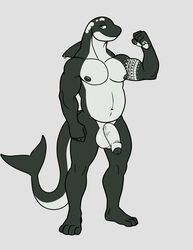 absurd_res anthro balls black_body black_nipples blue_eyes cetacean delphinoid genitals grey_background hi_res looking_at_viewer male mammal marine nipples nude oceanic_dolphin orca pecs penis piercing sharkiedude simple_background solo standing tattoo toothed_whale