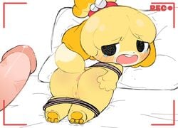 1boy 1boy1girl 1girls 2021 animal_crossing anthro anus ass bed bent_over bodily_fluids bondage bound canid canine canis domestic_dog duo female furniture furry genital_fluids genitals hi_res human humanoid_genitalia humanoid_penis isabelle_(animal_crossing) looking_back male male/female mammal nintendo on_bed open_mouth pawpads penis pillow precum pussy rakket recording rope shih_tzu teeth toe_beans toebeans toy_dog video_games