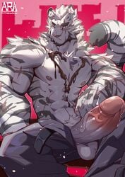 1boy abs animal_ears arasukanya_(littleblackalas) arknights bara barazoku chain_necklace erection feet_out_of_frame fluffy furry gay grey_pants highres huge_cock large_pectorals looking_at_viewer male_focus male_only mountain_(arknights) muscular muscular_male navel nipples open_pants pants penis scar scar_across_eye scar_on_arm scar_on_chest scar_on_stomach shirtless short_hair sitting solo spread_legs stomach tail tail_raised tiger_boy tiger_ears tiger_tail uncensored veins veiny_penis white_fur white_hair yaoi