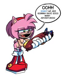 amy rose from sega by kingraam