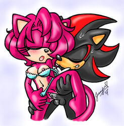 2007 anthro big_head breasts cat chibi-jen-hen female hedgehog huge_eyes interspecies jade_the_cat male mobian_(species) penis pussy sega sex shadow_the_hedgehog sonic_(series) sonic_fan_characters sonic_oc sonic_team standing straight tagme toony