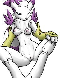 1girls anthro bridal_gauntlets cosplay digimon digimon_(cosplay) female female_only front_view furball gaenamon gatomon gatomon_(cosplay) mostly_nude purple_fur pussy renamon solo tailmon tailmon_(cosplay) white_fur