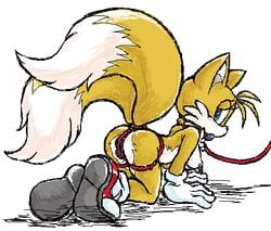 1girls all_fours anthro ass ball_gag bdsm blue_eyes blush bondage breasts canine dominated female femsub fur furry_tail gag gagged genderswap_(mtf) helpless leash leash_pull looking_at_viewer looking_back mobian_(species) multiple_tails mutabouru presenting rule_63 sexual_objectification sonic_(series) submissive tail tails tailsko vulnerable