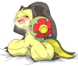 bellossom blue_eyes color female female_only flower insertion interspecies looking_at_another mawile multiple_females multiple_girls nude pasaran plantie pokemon pokemon_(species) red_eyes tagme vulva wink yuri