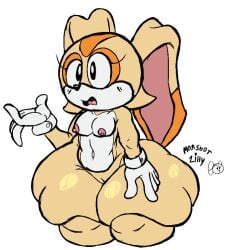 cream the rabbit from sonic (series) by monstorlilly