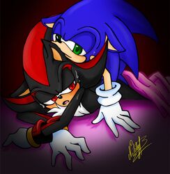 furry hedgehog male male_only multiple_males nataly-b shadow_the_hedgehog sonic_(series) sonic_the_hedgehog tagme yaoi