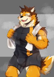 abs anthro asleepchef barrel_(live-a-hero) bodily_fluids bulge canid canine canis fur hi_res live-a-hero male mammal multicolored_body multicolored_fur muscular muscular_anthro muscular_male pecs solo sweat towel wolf workout_clothing