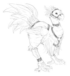 ambiguous_gender avian beak bird bondage bondage bondage_gear bound chocobo digital_media_(artwork) feathers feral final_fantasy hi_res looking_at_viewer monochrome saberhorn solo square_enix video_games