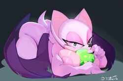 rouge the bat from sonic (series) by feliscede