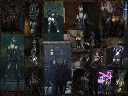 3d 3d_(artwork) batman:_arkham_city batman_(series) catwoman catwoman_(arkham) catwoman_(arkham_city) crafted_lightning dc dc_comics mod selina_kyle tagme