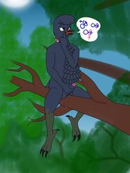 aaron_amethyst absurd_res anthro avian balls beak bird branch character_request collar cotingid genitals hi_res huge_filesize male male/male mating_call new_world_suboscine nude original original_character passerine penis plant sitting solo solo_focus spiked_collar spikes suboscine tongue tree umbrellabird