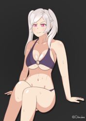 1girls bikini fire_emblem fire_emblem_awakening fire_emblem_heroes grima_(fire_emblem) nintendo orbiculare robin_(female)_(summer)_(fire_emblem) robin_(fire_emblem) robin_(fire_emblem)_(female) sweat tagme wet