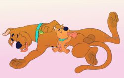 age_difference blowjob brown_fur canine fellatio gay hanna-barbera incest male_only penis scooby-doo scooby-doo_(character) scrappy-doo size_difference