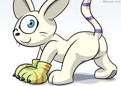 1girls anthro anus ass cat digimon feline female female_only gatomon looking_at_viewer one_eye_closed pokehidden pussy solo