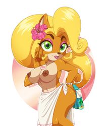 1girls anthro beach_towel belly belly_button big_breasts blonde_hair breasts busty child_bearing_hips clothing coco_bandicoot crash_(series) female female_only flower large_breasts leaning_forward legs navel nipples sarong scitty_titty scittykitty skirt smile thick_thighs thighs topless wide_hips