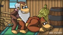 anal cranky_kong donkey_kong donkey_kong_(series) donkey_kong_country gorilla male_only mr_furry2 nintendo