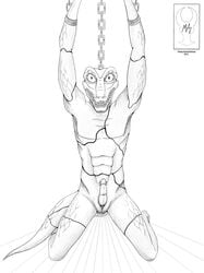 2021 alligatorid animal_genitalia anthro beastars bound caiman chains crocodilian erection genital_slit genitals greyscale hi_res kneeling line_art male monochrome nude penis reptile scales scalie shackles slit solo