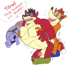 2015 2boys anal anthro bara brother crash_(series) crash_bandicoot crash_mind_over_mutant crunch_bandicoot fur furry furry_only gay incest lupinrager male male_only muscular muscular_male pants_down penis simple_background white_background yaoi