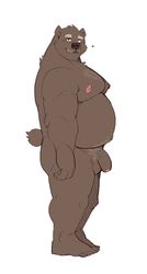 2021 absurd_res anthro balls belly flaccid foreskin genitals hi_res humanoid_genitalia humanoid_hands humanoid_penis jumperbear kemono male mammal moobs nipples overweight overweight_male penis simple_background solo uncut ursid white_background