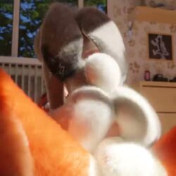 anal anthro butt_focus fox furry judy_hopps male/female nick_wilde rabbit tagme video