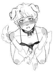 boner dogboy lingerie precum presenting